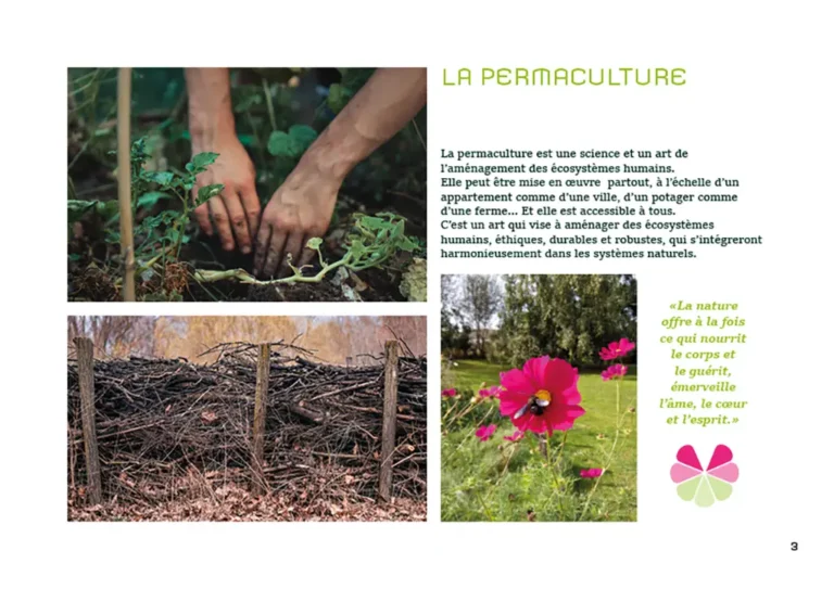 Brochure P3, Formation Permaculture, La Ferme Du Dabo, Valeriejeancrea7