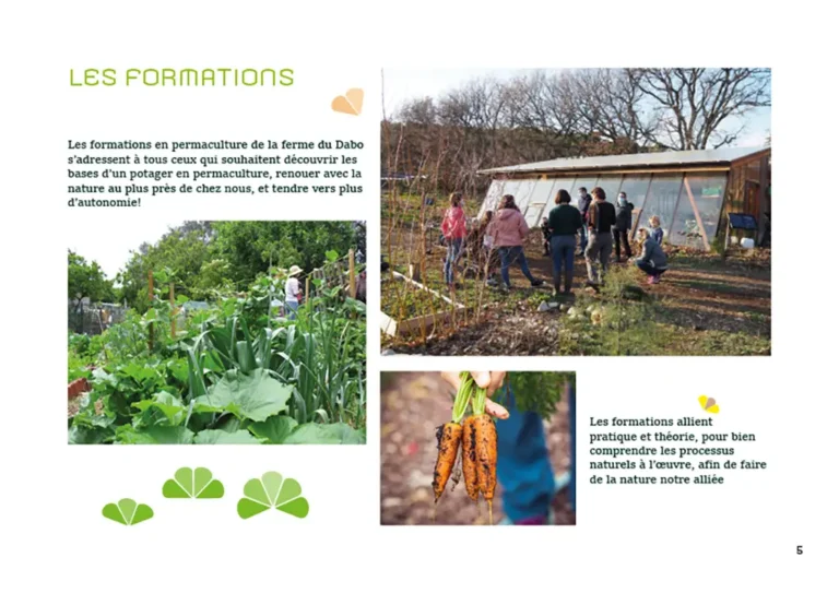 Brochure P5, Formation Permaculture, La Ferme Du Dabo, Valeriejeancrea7