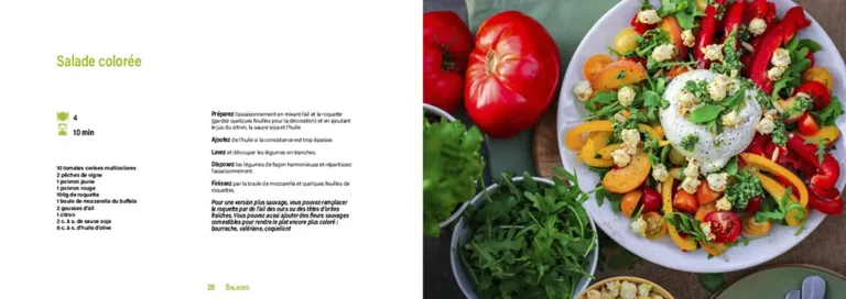 Livre De Recettes Végétariennes P6, La Ferme Du Dabo, Valeriejeancrea7