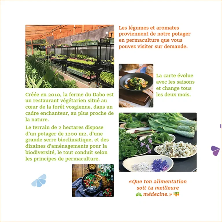 Menu 2 Restaurant Végétarien, La Ferme Du Dabo, Valeriejeancrea7